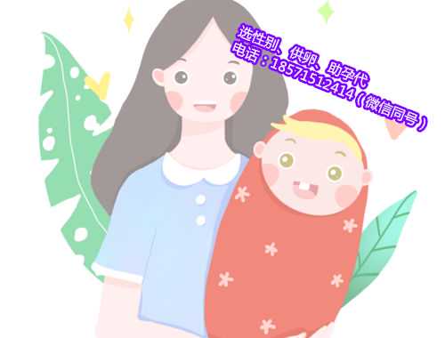 杭州找女人代生孩子价格,1广东省妇幼保健院知名试管婴儿医生