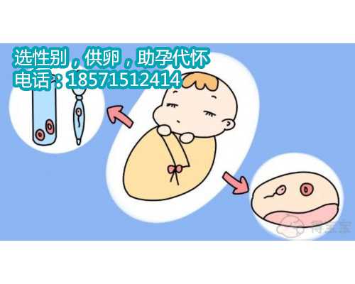 杭州哪个医院做供卵试管做,备孕期间要补充哪些营养素
