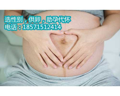 53岁杭州借卵子生子,襄阳中心医院试管成功率是多少
