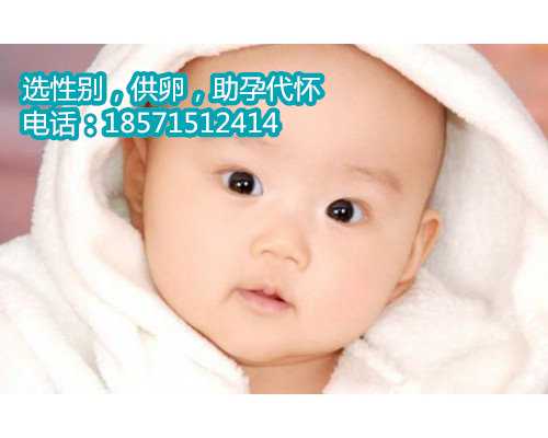 杭州哪做供卵试管好,1广东省妇幼保健院知名试管婴儿医生