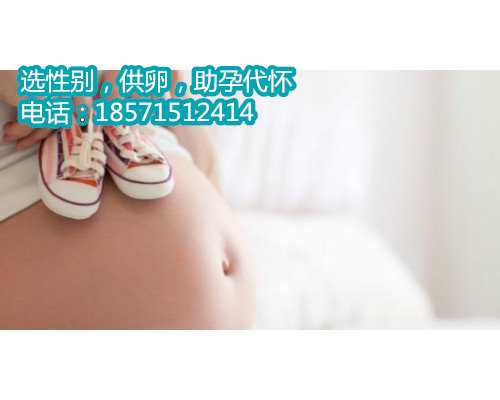 胚胎移植试管婴儿全过程费用：北京实例解析