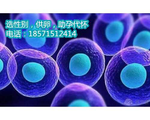 杭州找供卵试管得多少钱,1广东省妇幼保健院知名试管婴儿医生