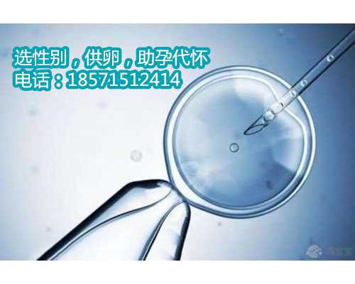 杭州借卵生子的经验,苏北人民医院试管婴儿价格明细