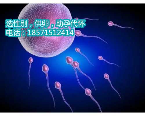 杭州助孕中心医院,初生婴儿奶粉如何辨真假