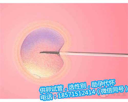杭州找女人助孕电话,1广东省妇幼保健院知名试管婴儿医生