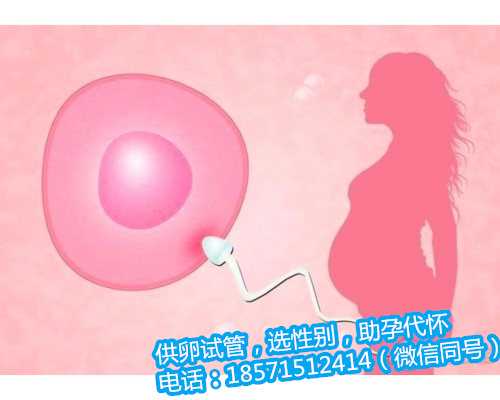杭州找助孕的男人,打排卵针怀孕能怀双胞胎吗