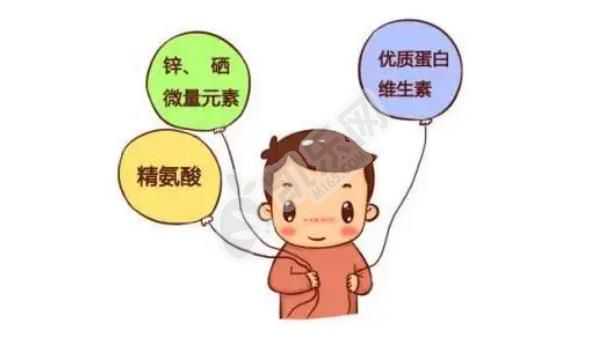 杭州借卵试管代生价格,1广东省妇幼保健院知名试管婴儿医生