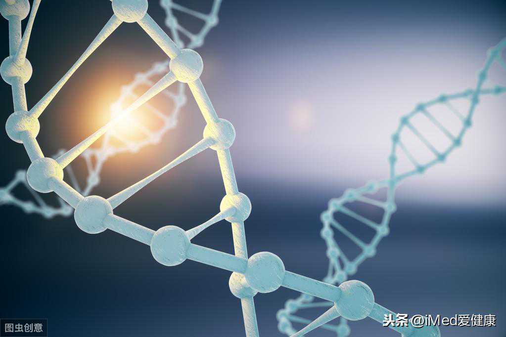 经常听到的基因测序，什么是基因？什么是测序？有什么用呢？