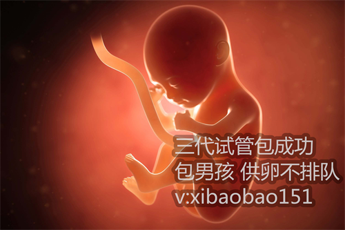 杭州哪里可以帮人代孕,2022河南三代试管包生男孩价格贵吗