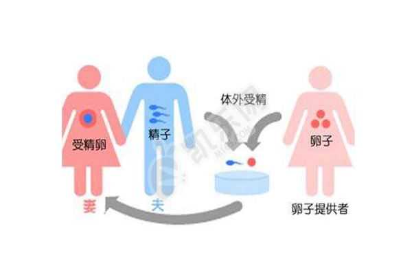 杭州哪个女星是代生的,女性备孕注意事项有哪些