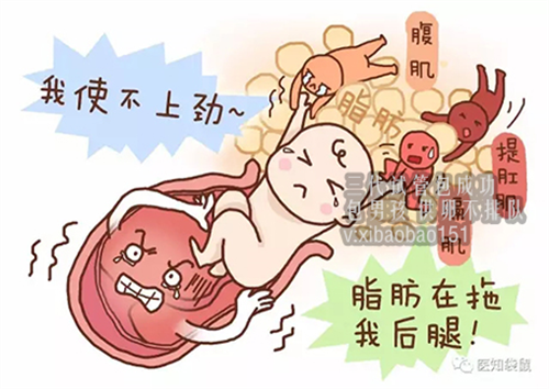杭州借卵自孕价格,2022年怀孕最佳月份